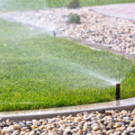 Sprinkler irrigation with stone ground cover.