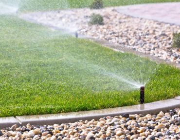 Sprinkler irrigation with stone ground cover.