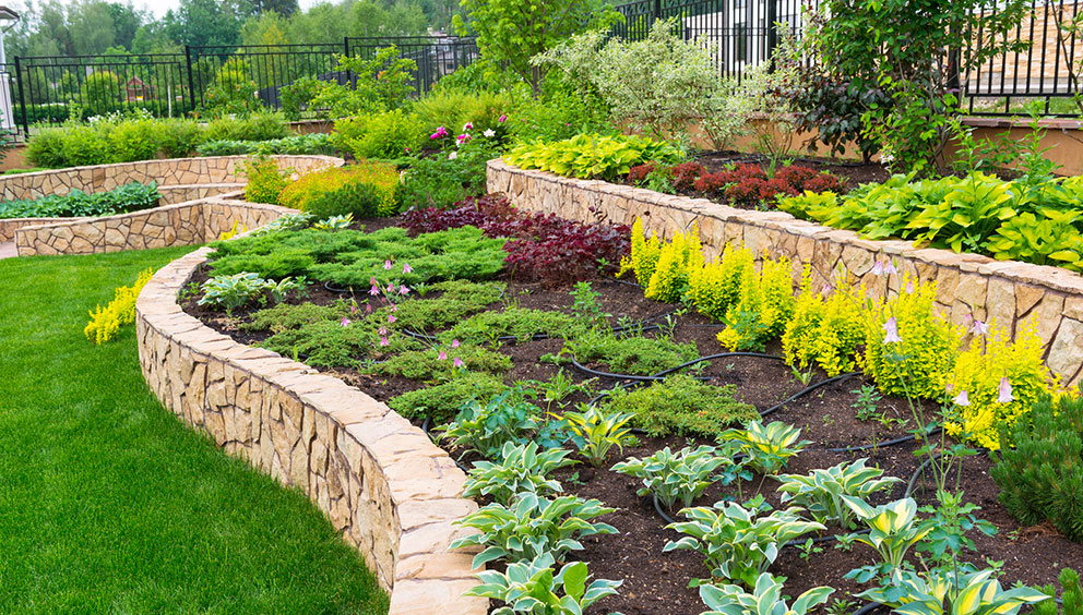 Tiered landscape using stone, with plants and irrigation tubes.