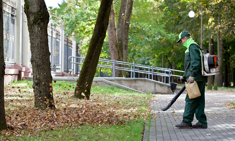 Landscaper blowing leaves into a pile on commercial property.