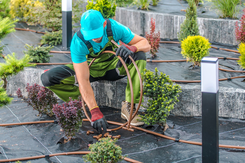 Landscaper connecting irrigation hoses for landscape enhancement.