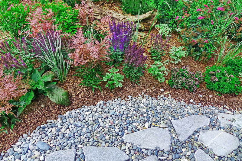 Sustainable plants with wood compost and rock ground cover