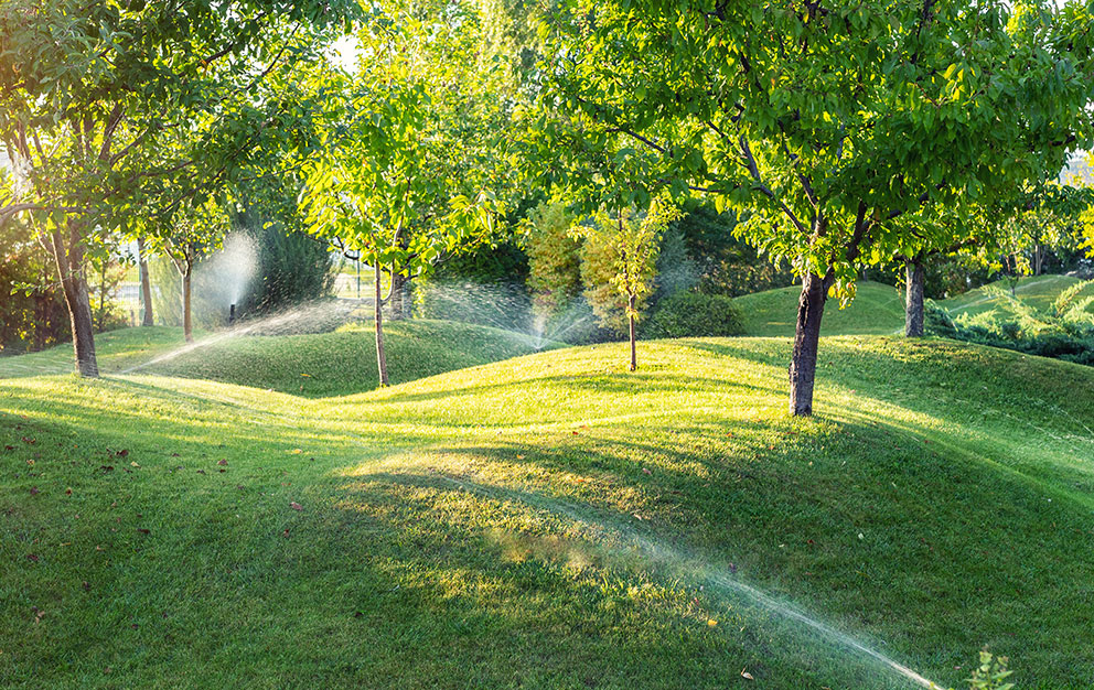 Sprinkler irrigation in use at large park.