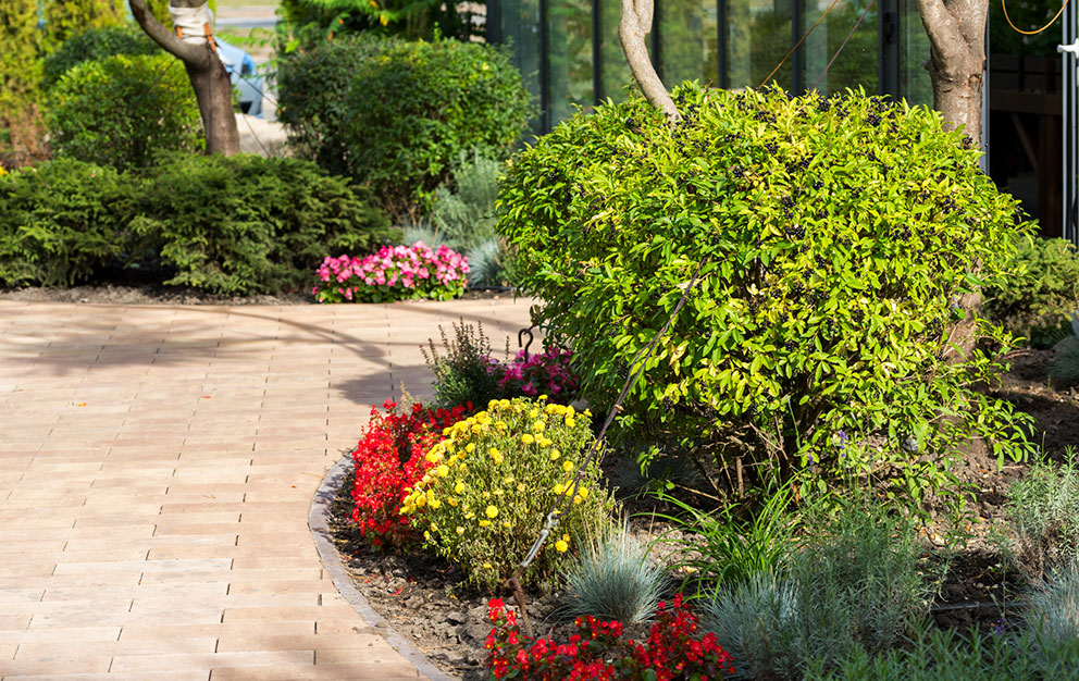 Commercial landscape with flowers, bushes, and trees adjacent to brick walkway.