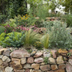 Tiered landscape using flagstones with drought friendly bushes and flowers and stone ground cover.