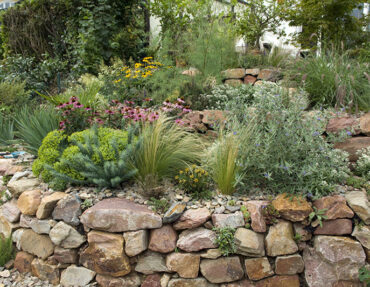 Tiered landscape using flagstones with drought friendly bushes and flowers and stone ground cover.