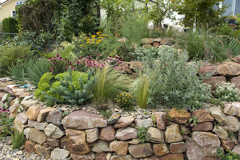 Tiered landscape using flagstones with drought friendly bushes and flowers and stone ground cover.