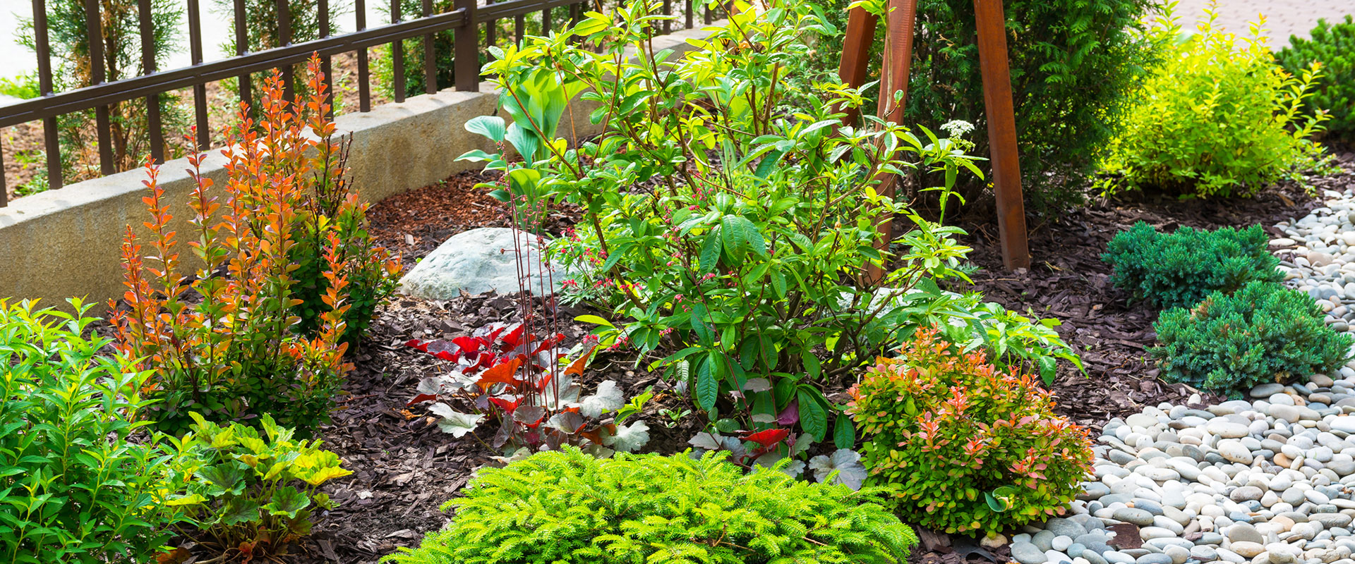 Drought resistant shrubs with wood chip mulch and stone ground cover.