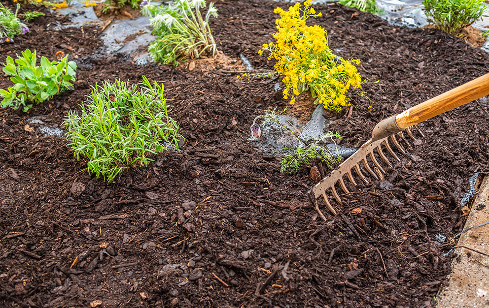 Landscaper raking wood mulch ground cover