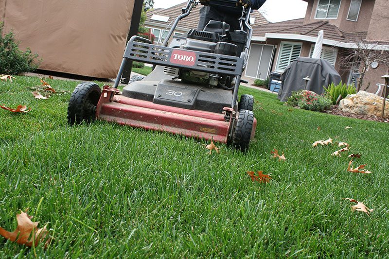 Landscaper mowing residential property lawn.